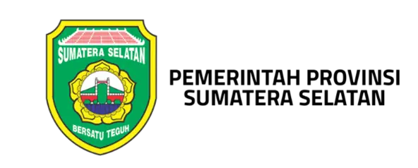 Pemerintah sumatra selatan
